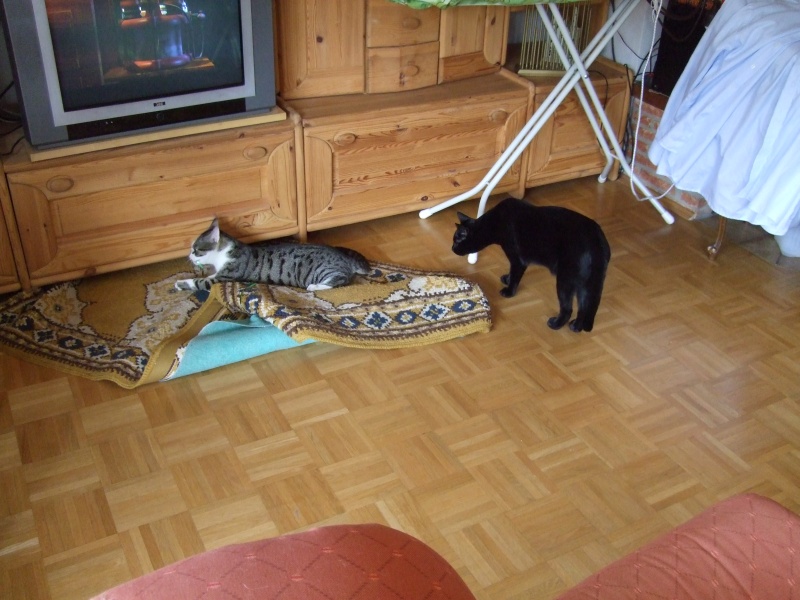 Ostern 2007 Orleshausen 145 